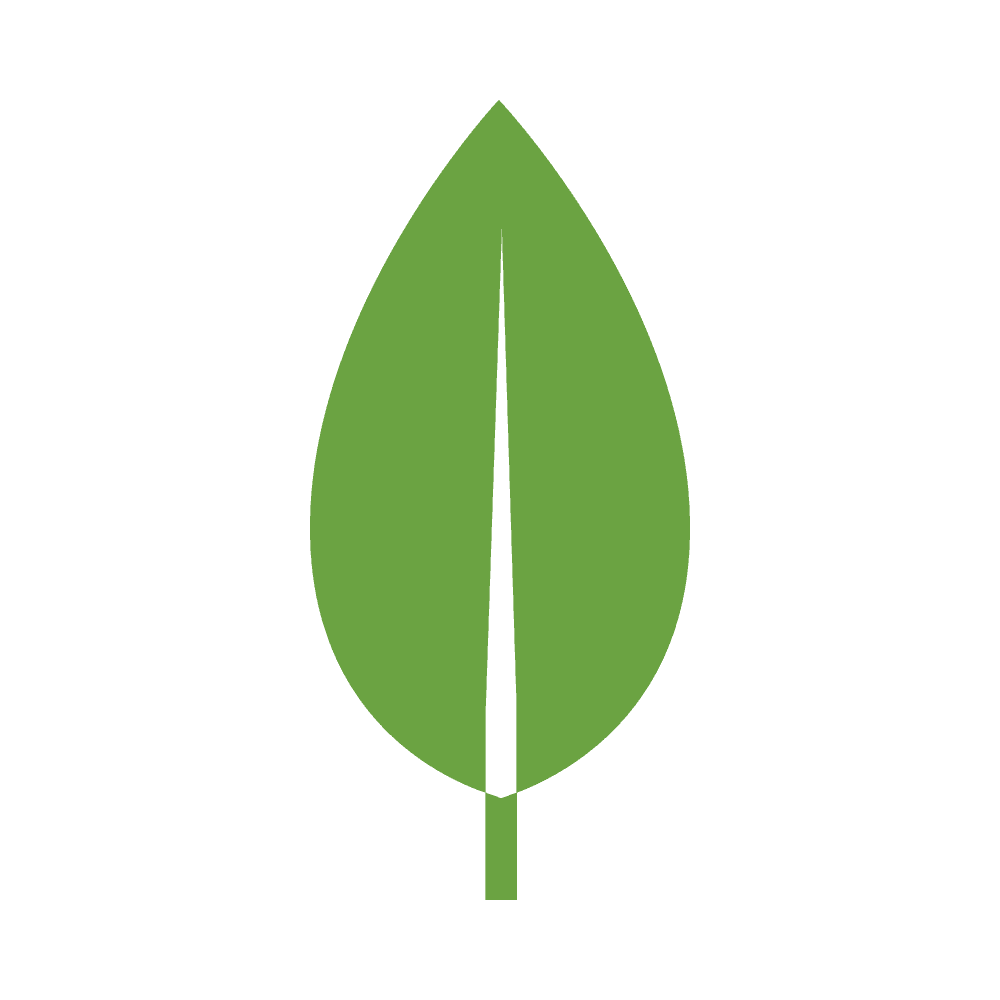 MongoDB icon